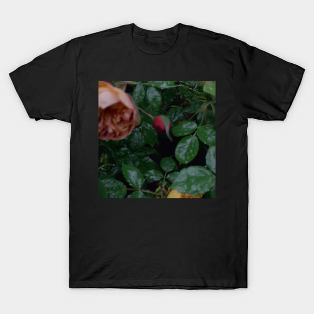 rain garden T-Shirt by tearbytea